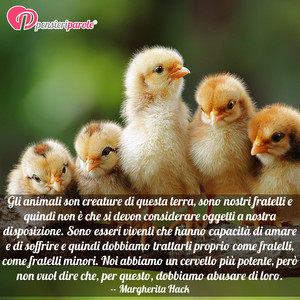 Immagine con frase di Margherita Hack - Gli animali son creature di questa terra, sono...