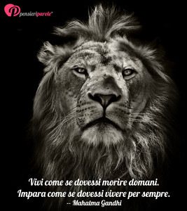 Immagine con frase di Mahatma Gandhi (Mohandas Karmchand Gandhi) - Vivi come se dovessi morire domani. Impara...