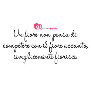 Immagine con frase di Sensei Ogui - Un fiore non pensa di competere con il fiore...