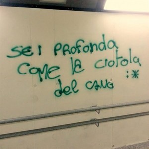 Immagine con frase di Anonimo - Sei profonda come la ciotola del cane.