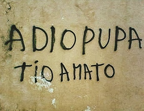 Immagine con frase Scritte muri - Adio pupa ti o amato.