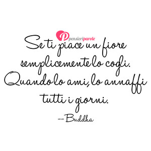 Immagine con frase di Buddha - Se ti piace un fiore semplicemente lo cogli...