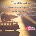Picture with quote christmas wishes - May all the sweet magic Of Christmas conspire...