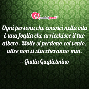 Immagine con frase di Giulia Guglielmino - Ogni persona che conosci nella vita  una...