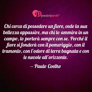 Immagine con frase di Paulo Coelho - Chi cerca di possedere un fiore, vede la sua...