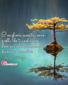 Immagine con frase di Alexandra K.Trenfor - I migliori maestri sono quelli che ti indicano...