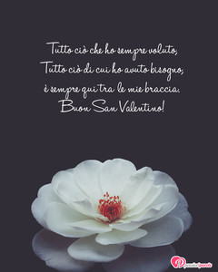 Immagine con frase di Anonimo - Tutto ci che ho sempre voluto, Tutto ci di...