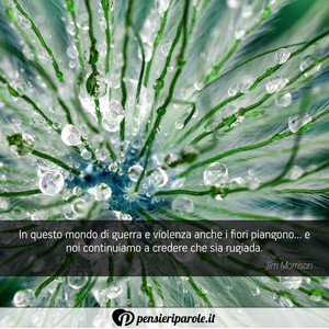 Immagine con frase di Jim Morrison (James Douglas Morrison) - In questo mondo di guerra e violenza anche i...