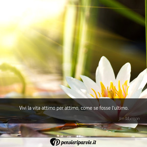 Immagine con frase di Jim Morrison (James Douglas Morrison) - Vivi la vita attimo per attimo, come se fosse l...