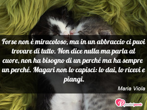 Immagine con frase di Maria Viola - Forse non  miracoloso, ma in un abbraccio ci...