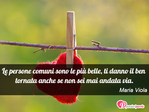 Immagine con frase di Maria Viola - Le persone comuni sono le pi belle, ti danno...