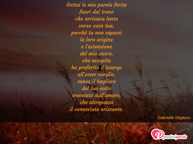 Immagine con poesia poesie personali di Gabriella Stigliano - Gettai le mie parole ferite fuori dal treno...