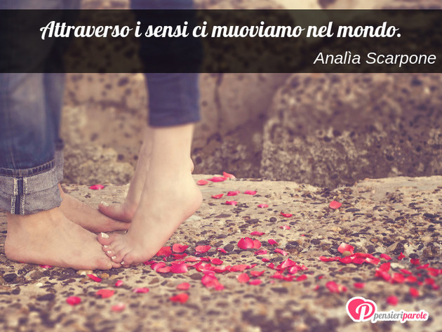 Immagine con frase saggezza di Anala Scarpone - Attraverso i sensi ci muoviamo nel mondo.