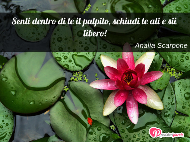 Immagine con frase libert di Anala Scarpone - Senti dentro di te il palpito, schiudi le ali...