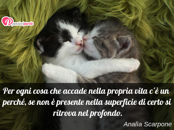 Immagine con frase Frasi motivazionali di Analìa Scarpone - Non