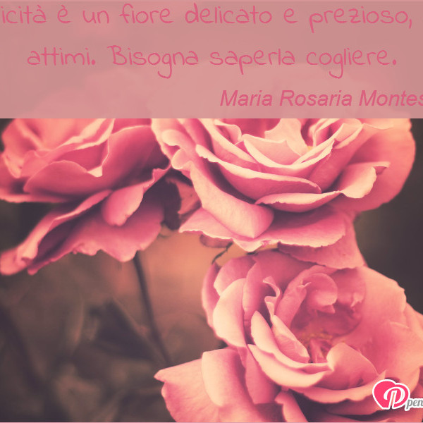 Immagine Con Frase Felicita Di Maria Rosaria Montesarchio La Felicita E Un Fiore Delicato E Prezioso