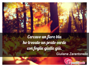 Immagine con frase di Giuliana Zarantonello - Cercavo un fiore blu ho trovato un prato verde...