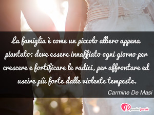 Immagine con frase di Carmine De Masi - La famiglia  come un piccolo albero appena...