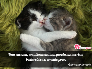 Immagine con frase di Giancarlo Iandolo - Una carezza, un abbraccio, una parola, un...