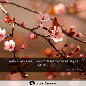 Immagine con frase di Jacques Prvert - La vita  una ciliegia, il nocciolo la sua...