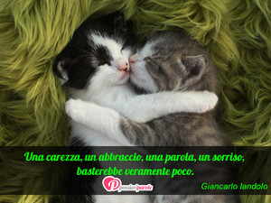 Immagine con frase di Giancarlo Iandolo - Una carezza, un abbraccio, una parola, un...
