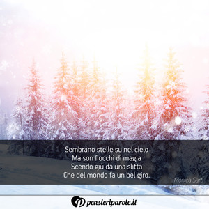Immagine con frase di Monica Sarti - Sembrano stelle su nel cielo Ma son fiocchi di...