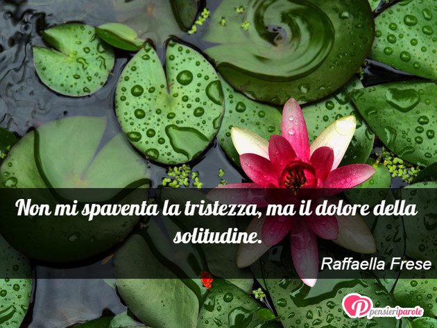 Immagine con frase tristezza di Raffaella Frese - Non mi spaventa la tristezza, ma il dolore...