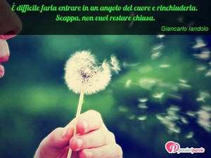 Immagine con frase di Giancarlo Iandolo -  difficile farla entrare in un angolo del...