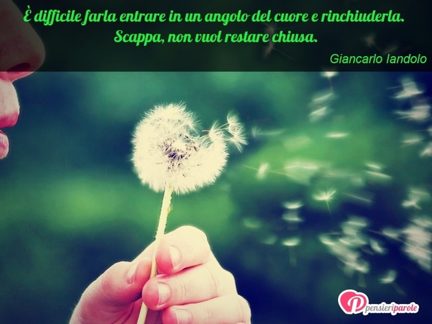 Immagine con frase comportamento di Giancarlo Iandolo -  difficile farla entrare in un angolo del...