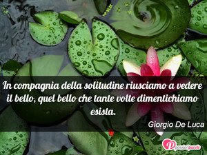 Immagine con frase di Giorgio De Luca - In compagnia della solitudine riusciamo a...