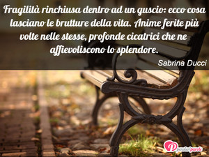 Immagine con frase di Sabrina Ducci - Fragilit rinchiusa dentro ad un guscio: ecco...