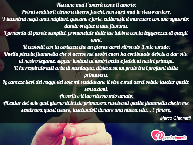 Immagine con poesia poesie personali di Marco Giannetti - Nessuno mai t'amer come ti amo io. Potrai...