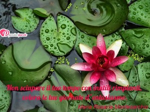 Immagine con frase di Maria Rosaria Montesarchio - Non sciupare il tuo tempo con inutili rimpianti...