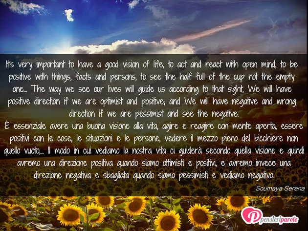 Immagine con frase lingua straniera di Soumaya Serena - It's very important to have a good vision of...
