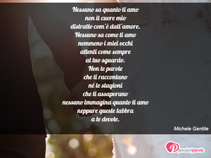 Immagine con frase di Michele Gentile - Nessuno sa quanto ti amo non il cuore mio...