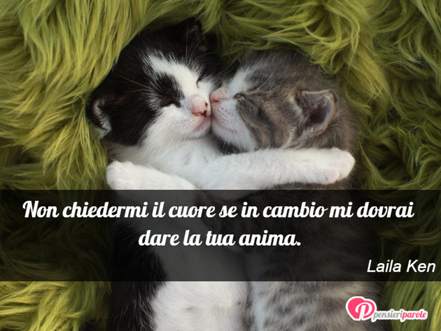Immagine con frase anima di Laila Ken - Non chiedermi il cuore se in cambio mi dovrai...