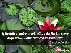 Immagine con frase di Carmine De Masi - Le farfalle si nutrono col nettare dei fiori...