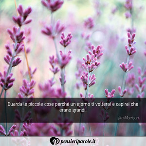 Immagine con frase di Jim Morrison (James Douglas Morrison) - Guarda le piccole cose perch un giorno ti...