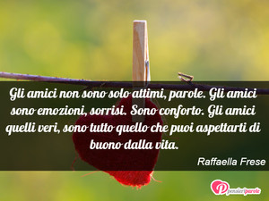 Immagine con frase di Raffaella Frese - Gli amici non sono solo attimi, parole. Gli...