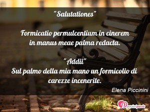 Immagine con frase di Elena Piccinini - 