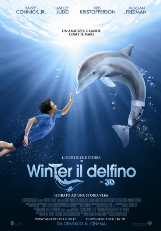 L'Incredibile Storia di Winter il Delfino - poster