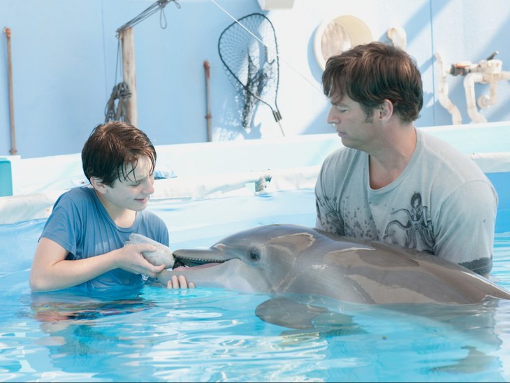 L'Incredibile Storia di Winter il Delfino - fotogramma