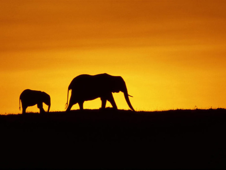 Earth - la nostra Terra - fotogramma