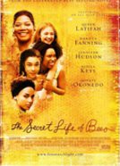 La vita segreta delle api - poster