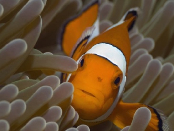 One Life - Il Film - fotogramma