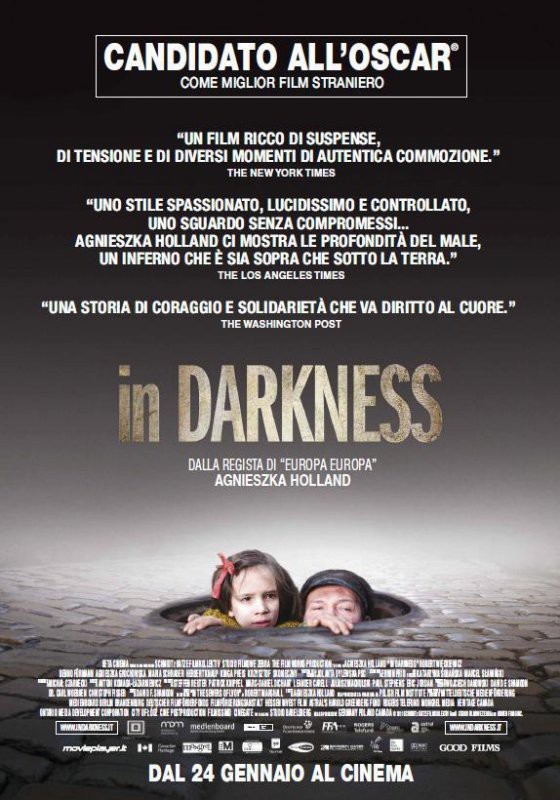 In Darkness - poster