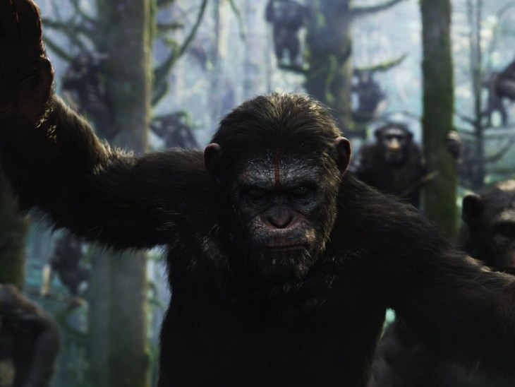 Il Pianeta delle Scimmie: Revolution - fotogramma