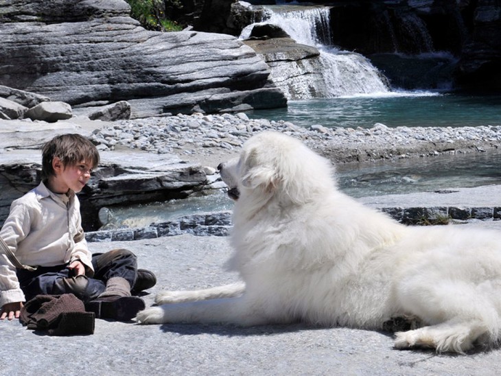 Belle & Sebastien - fotogramma