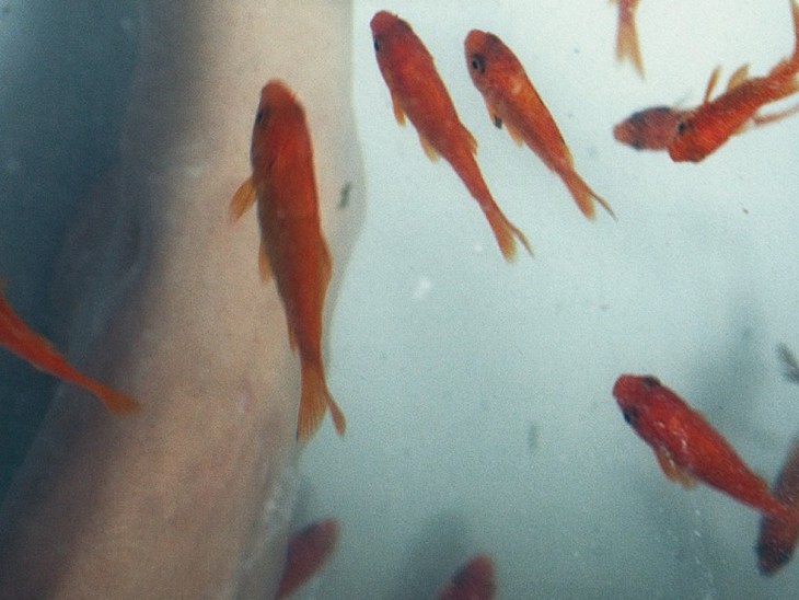 Ritual - Una storia psicomagica - fotogramma