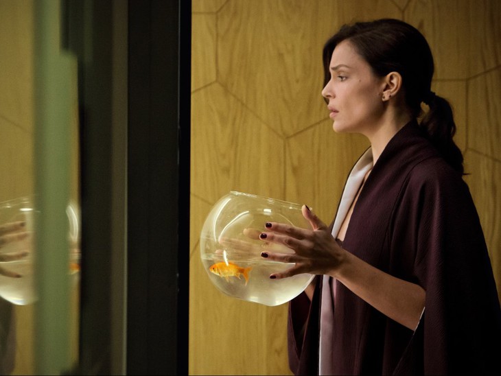 Ho ucciso Napoleone - fotogramma